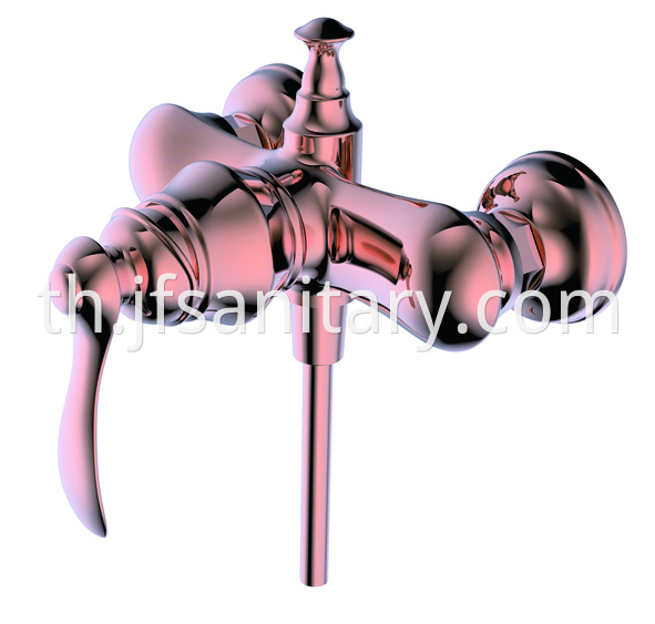 shower valve and handle